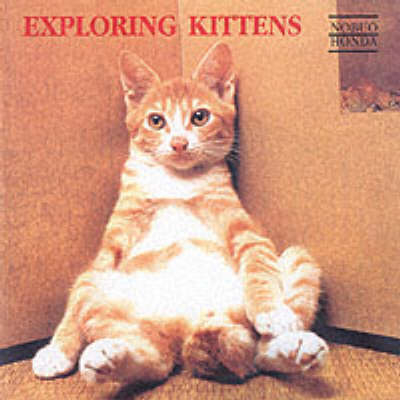 Exploring Kittens - Nobuo Honda