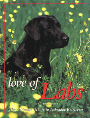 Love of Labs - 