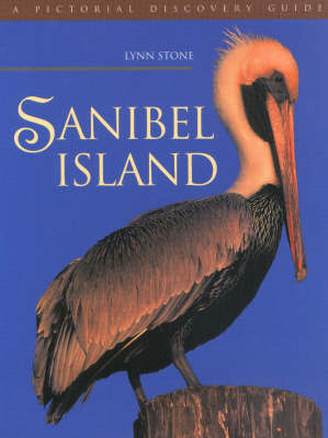 Sanibel Island - Lynn Stone