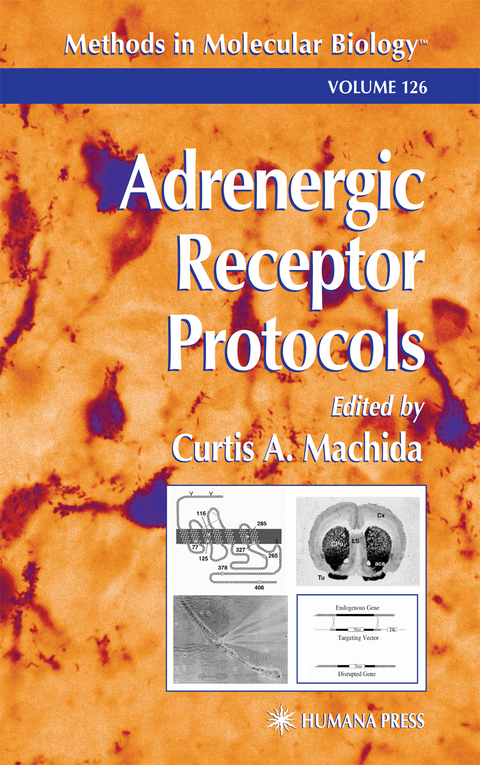 Adrenergic Receptor Protocols - 