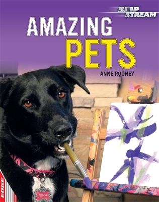 EDGE: Slipstream Non-Fiction Level 2: Amazing Pets - Anne Rooney