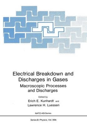 Electrical Breakdown and Discharges in Gases - Erich E Kunhardt, Lawrence H Luessen