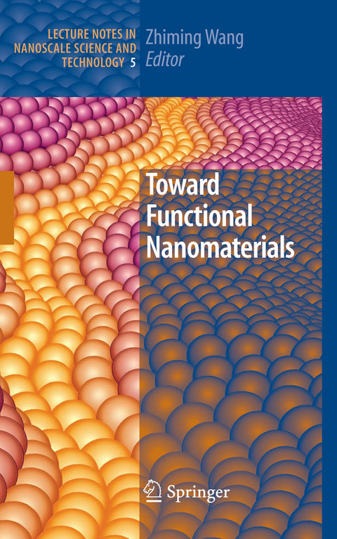 Toward Functional Nanomaterials - 