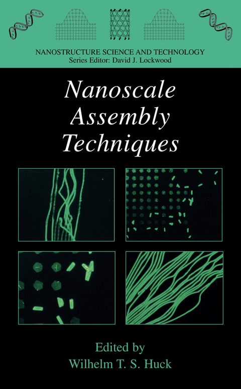 Nanoscale Assembly - 