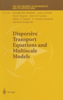 Dispersive Transport Equations and Multiscale Models - 