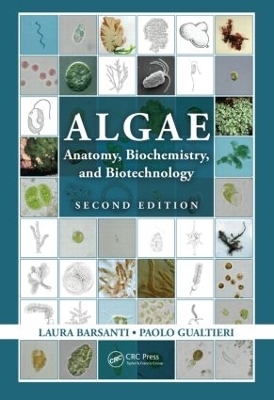 Algae - Laura Barsanti, Paolo Gualtieri