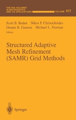 Structured Adaptive Mesh Refinement (SAMR) Grid Methods - 