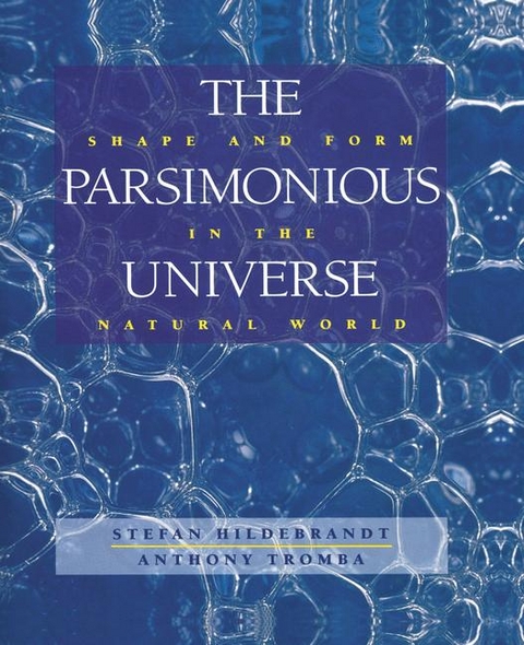 The Parsimonious Universe - Stefan Hildebrandt, Anthony Tromba
