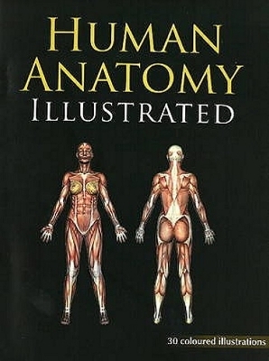 Human Anatomy Illustrated -  B Jain Publishers