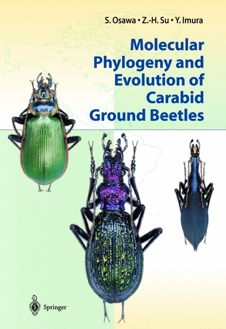 Molecular Phylogeny and Evolution of Carabid Ground Beetles -  Y. Imura,  S. Osawa,  Z.-H. Su
