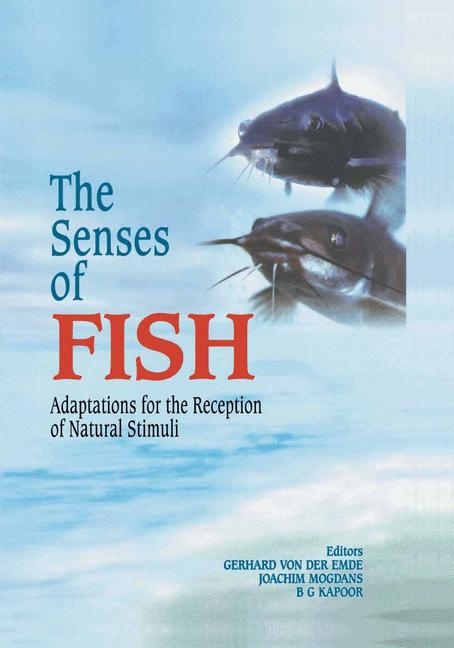 Senses of Fish - 