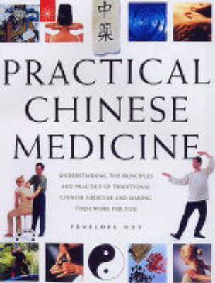 Practical Chinese Medicine - Penelope Ody