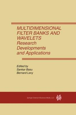 Multidimensional Filter Banks and Wavelets - 