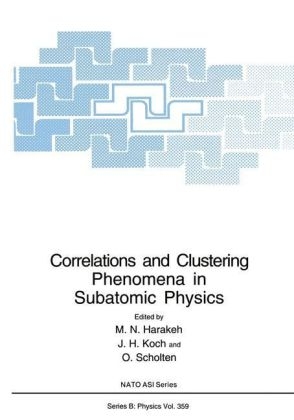 Correlations and Clustering Phenomena in Subatomic Physics - 