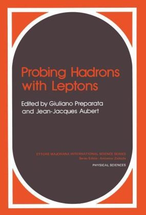 Probing Hadrons with Leptons - 