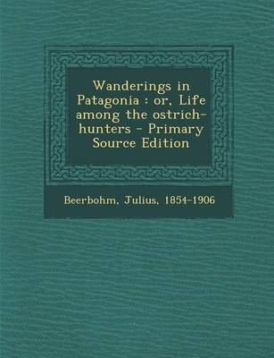 Wanderings in Patagonia - Julius Beerbohm