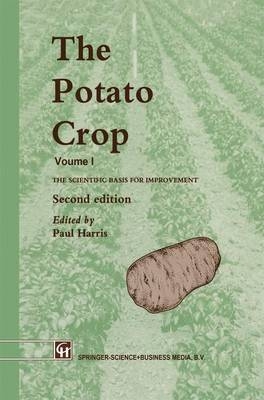 Potato Crop - 