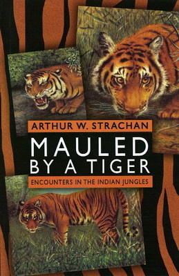 Mauled by a Tiger - Arthur W Strachan