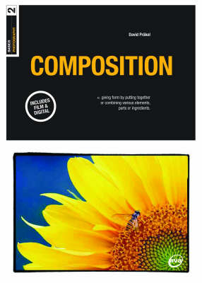Basics Photography: Composition - Paul Harris, Xavier Young, Gavin Ambrose