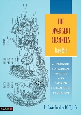 The Divergent Channels - Jing Bie - David Twicken