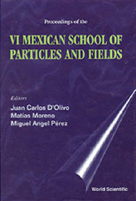 Particles And Fields - Proceedings Of The Vi Mexican School - 