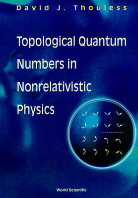 Topological Quantum Numbers In Nonrelativistic Physics - David Thouless