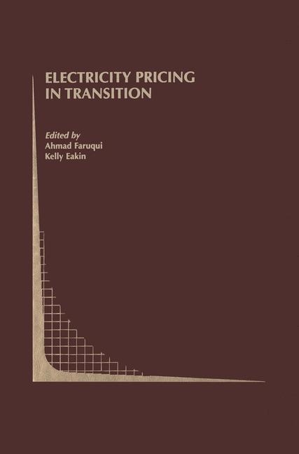 Electricity Pricing in Transition - 