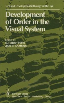 Development of Order in the Visual System - 