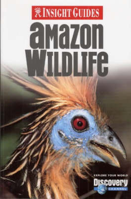 Amazon Wildlife Insight Guide