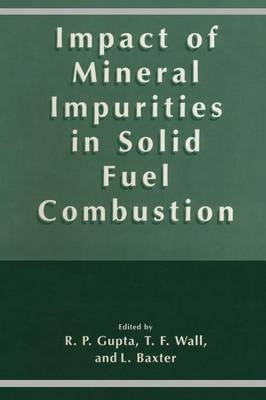 Impact of Mineral Impurities in Solid Fuel Combustion - 