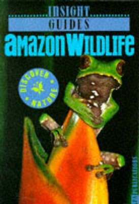 Amazon Wildlife Insight Guide