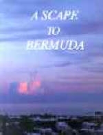 A Scape to Bermuda - Ian Macdonald-Smith