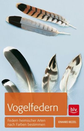 Vogelfedern - Einhard Bezzel