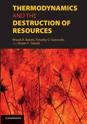 Thermodynamics and the Destruction of Resources - 
