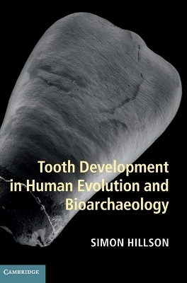 Tooth Development in Human Evolution and Bioarchaeology - Simon Hillson