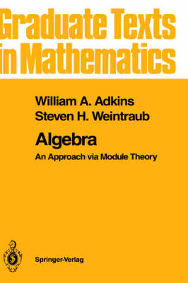 Algebra -  William A. Adkins,  Steven H. Weintraub