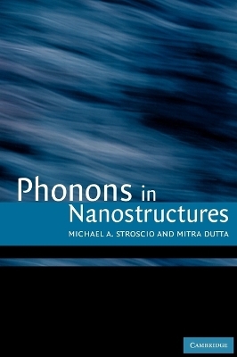 Phonons in Nanostructures - Michael A. Stroscio, Mitra Dutta