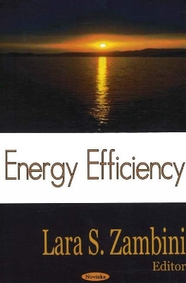 Energy Efficiency - 