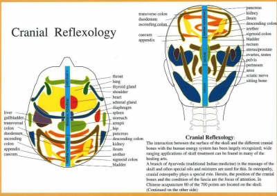 Cranial Reflexology -- A4 - Jan van Baarle