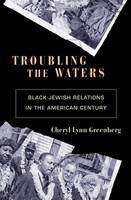 Troubling the Waters - Cheryl Lynn Greenberg