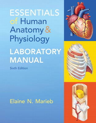 Essentials of Human Anatomy & Physiology Laboratory Manual - Elaine Marieb