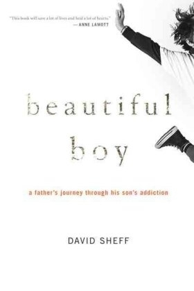 Beautiful Boy - David Sheff