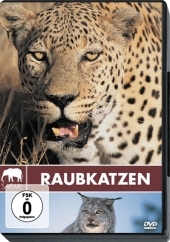 Raubkatzen, 1 DVD