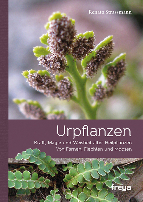 Urpflanzen - Renato Strassmann