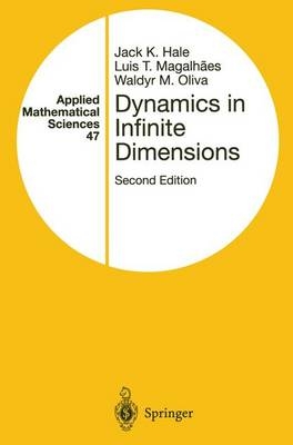 Dynamics in Infinite Dimensions -  Jack K. Hale,  Luis T. Magalhaes,  Waldyr Oliva