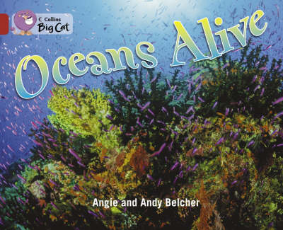 Oceans Alive - Angie Belcher