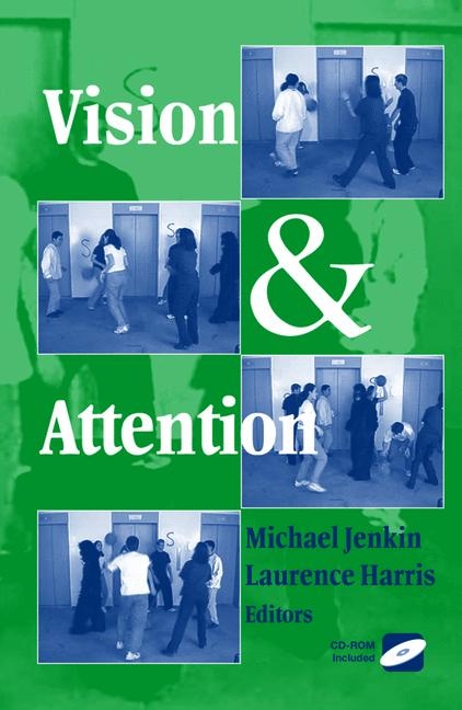 Vision and Attention - 