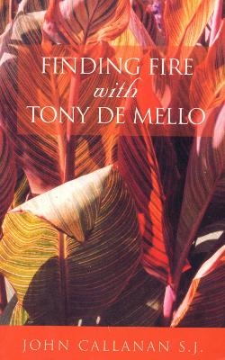 Finding Fire With Tony De Mello - Fr John Callanan