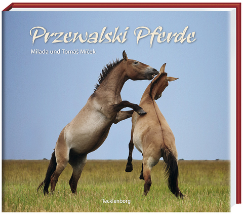 Przewalski Pferde - Tomas Micek, Waltraut Zimmermann