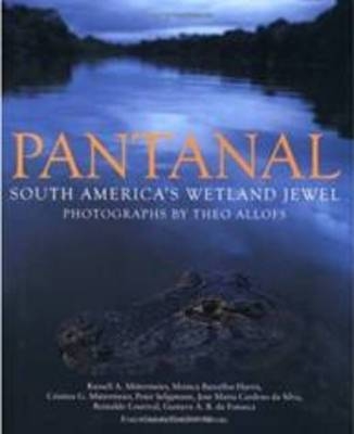 Pantanal - 